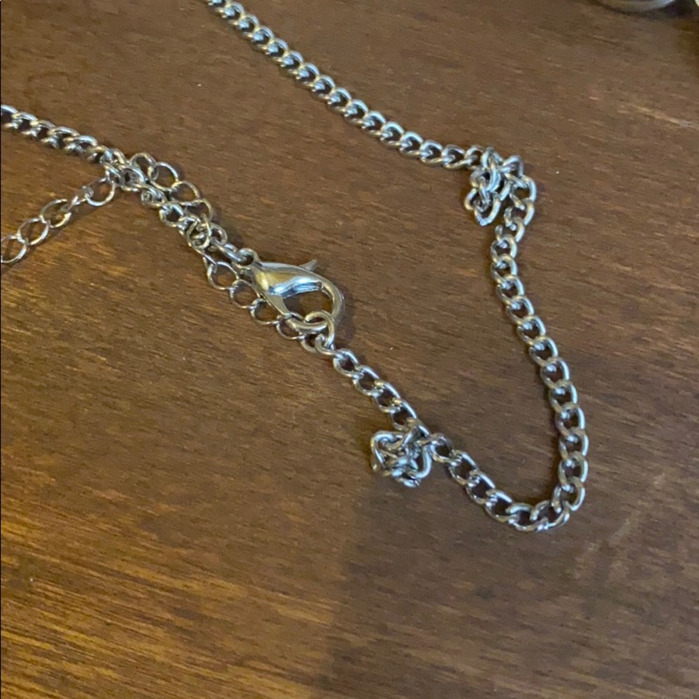Extra Long Chain - Picture 3 of 3